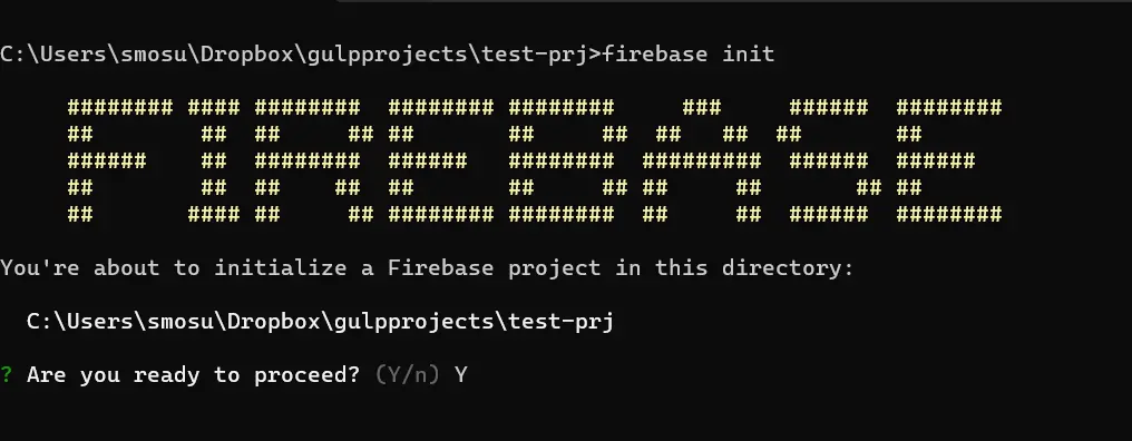 Firebase init